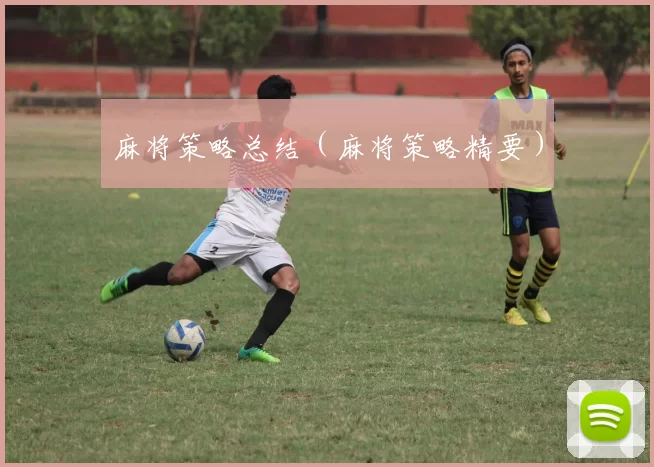 麻将策略总结（麻将策略精要）