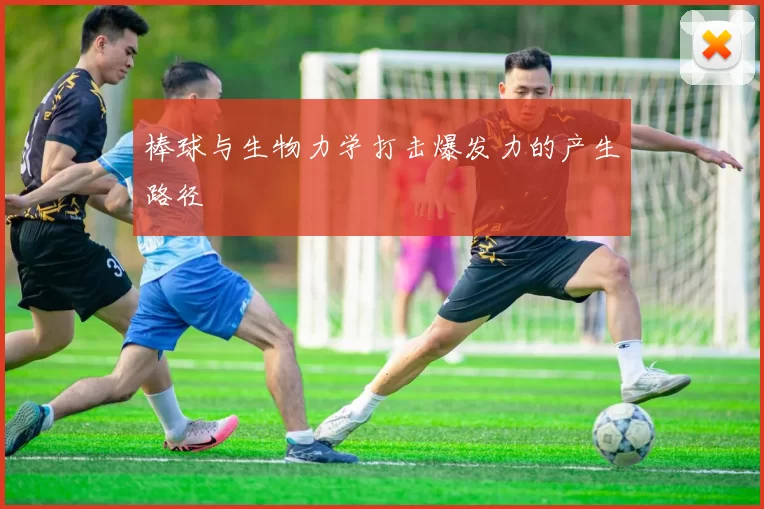 棒球与生物力学打击爆发力的产生路径
