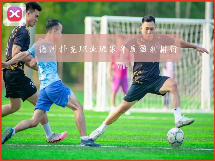 德州扑克职业玩家年度盈利排行